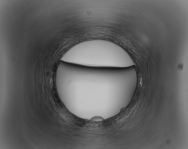 X0000102470771200808081009
