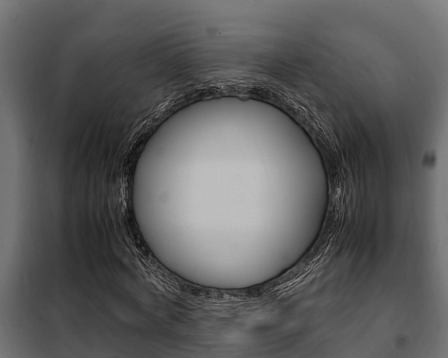X0000102470772200808081009