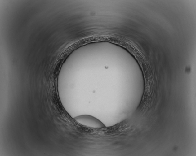X0000102470773200808081009