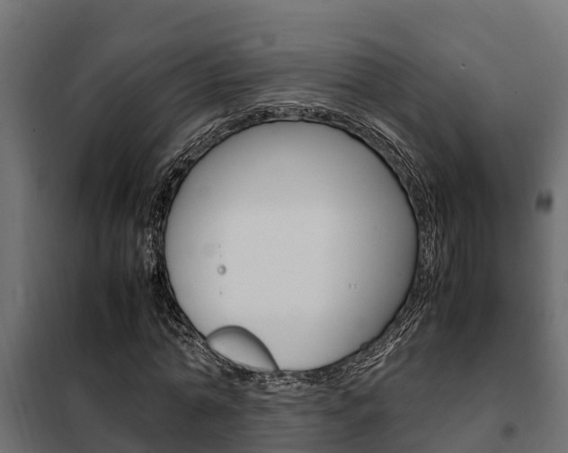 X0000102470774200808081009