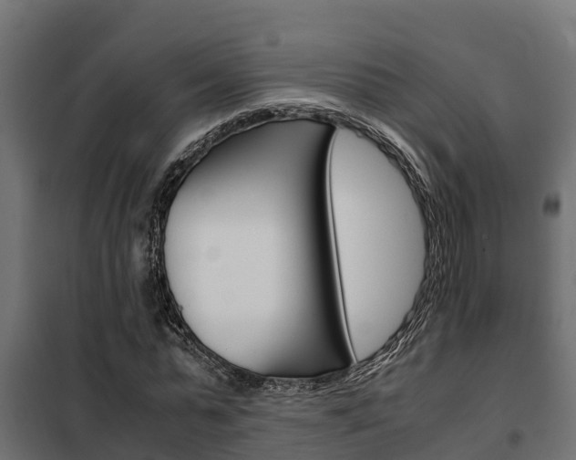 X0000102470775200808081009