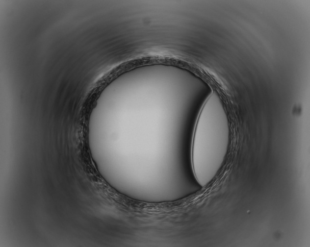 X0000102470776200808081009
