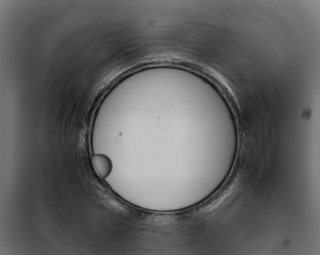 X0000102470778200808081009