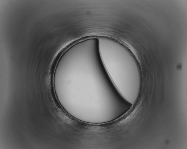 X0000102470779200808081009