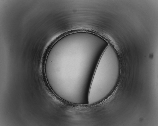 X0000102470780200808081009