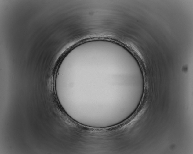 X0000102470781200808081009