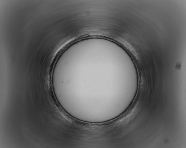 X0000102470782200808081009
