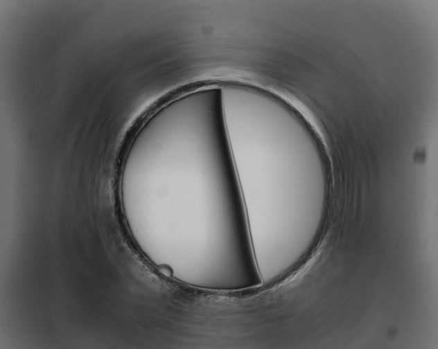 X0000102470783200808081009