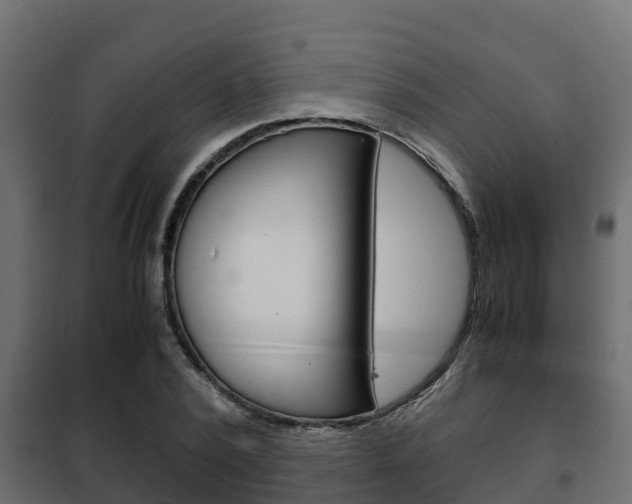 X0000102470784200808081009