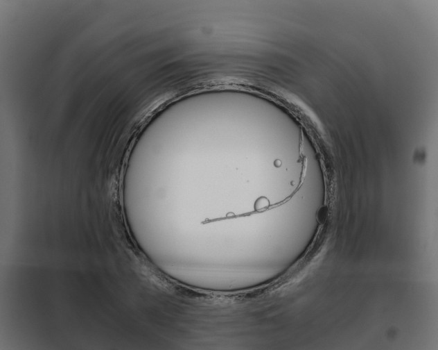 X0000102470785200808081009