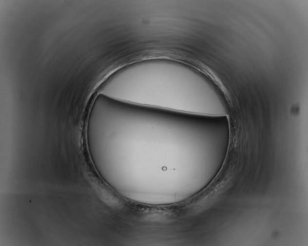 X0000102470786200808081009