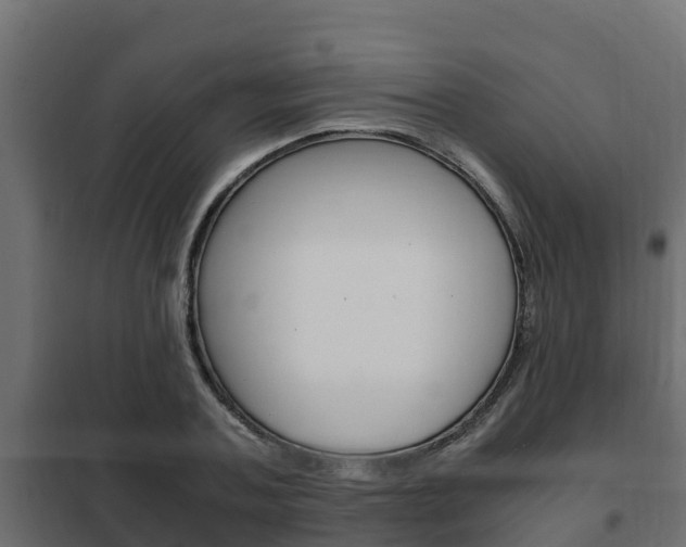 X0000102470787200808081008