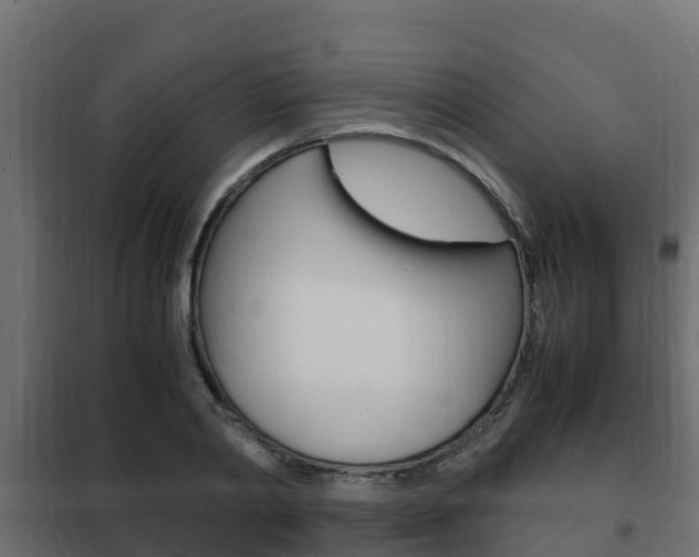 X0000102470790200808081008