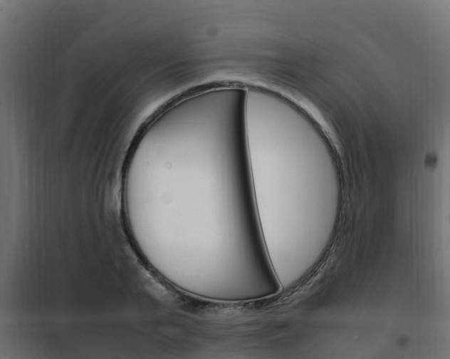 X0000102470791200808081008