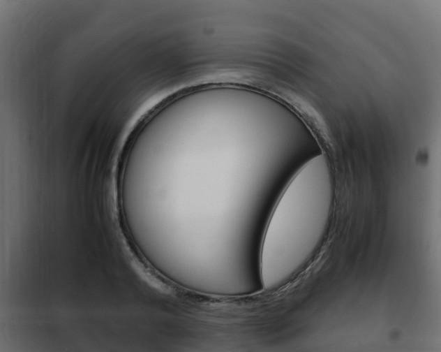 X0000102470792200808081008