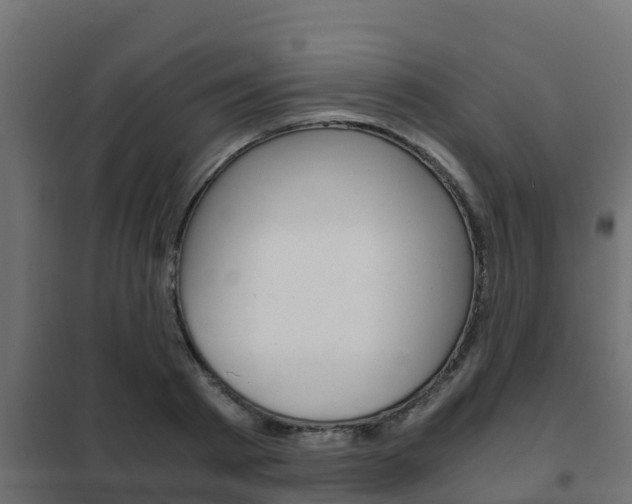 X0000102470793200808081008