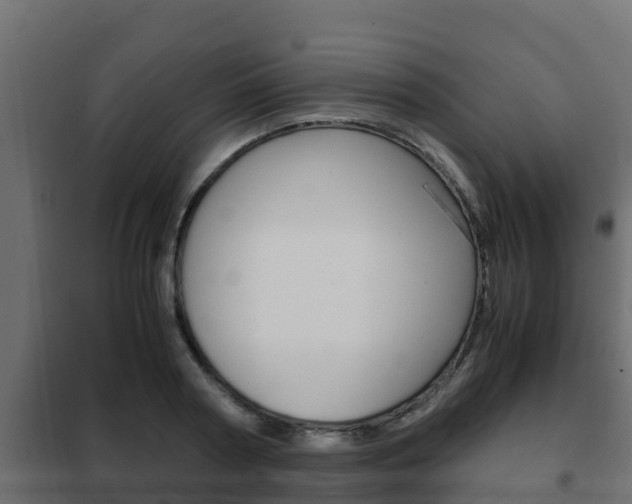 X0000102470794200808081008