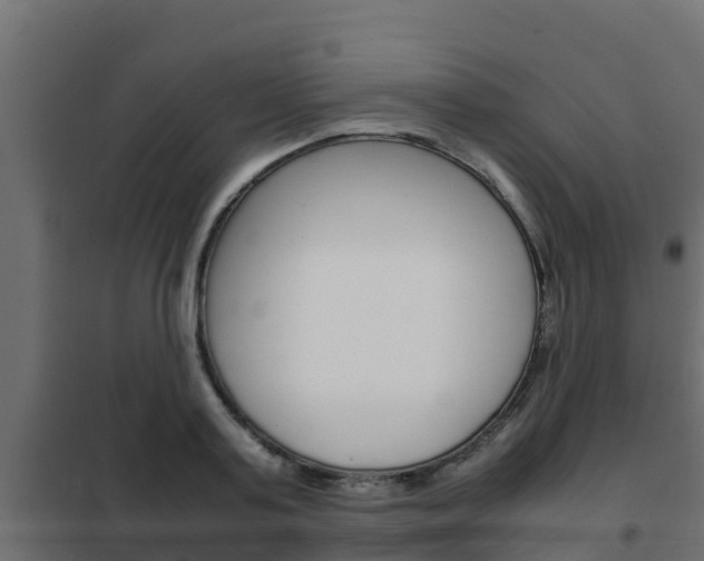 X0000102470795200808081008
