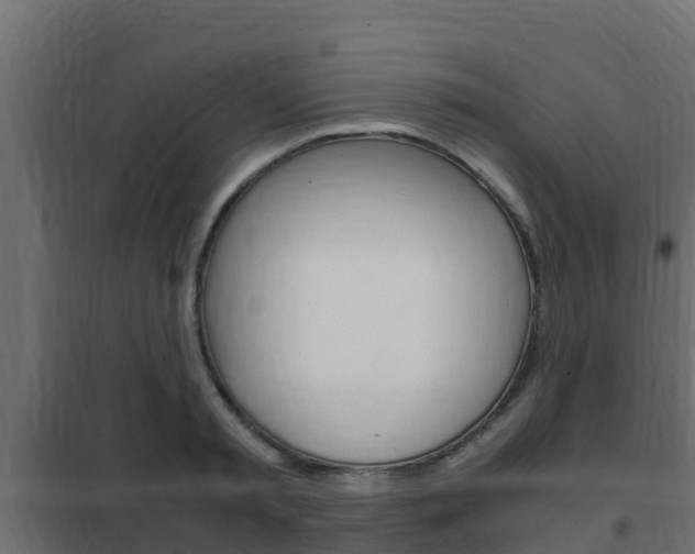 X0000102470797200808081008