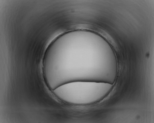 X0000102470798200808081008