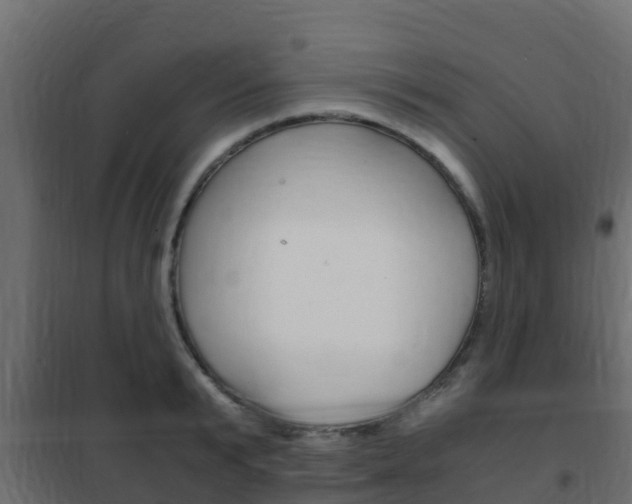 X0000102470799200808081008