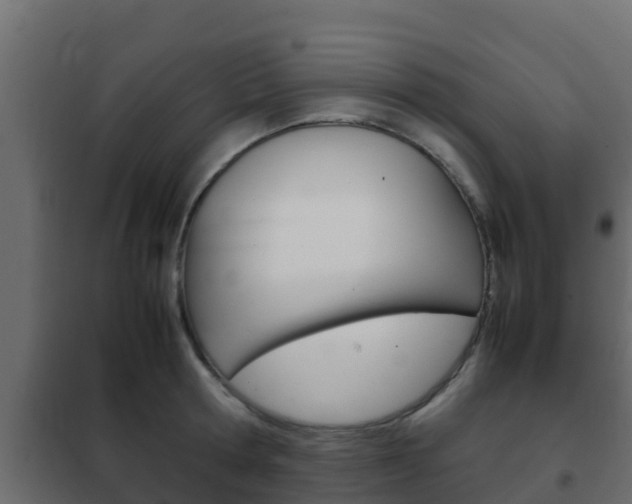 X0000102470802200808081008