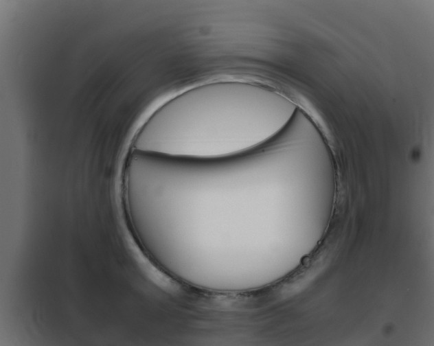 X0000102470803200808081008