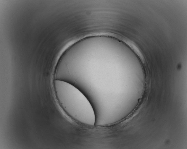 X0000102470805200808081008