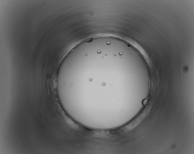 X0000102470809200808081008