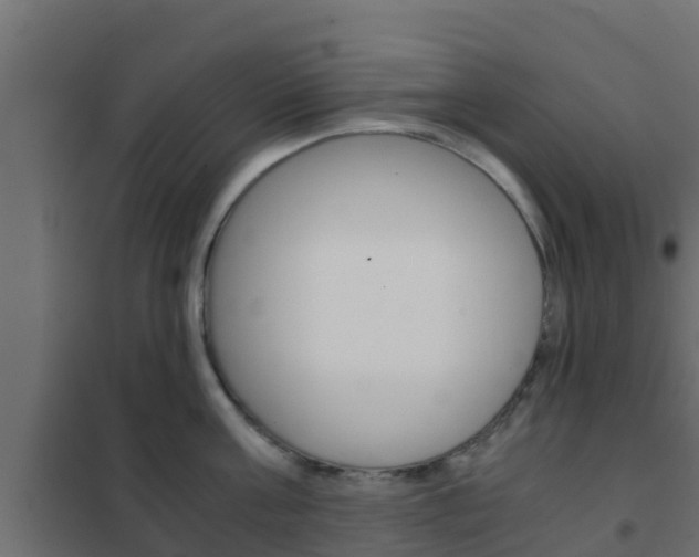 X0000102470811200808081008