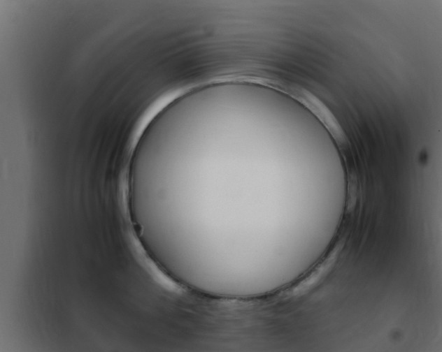 X0000102470812200808081008