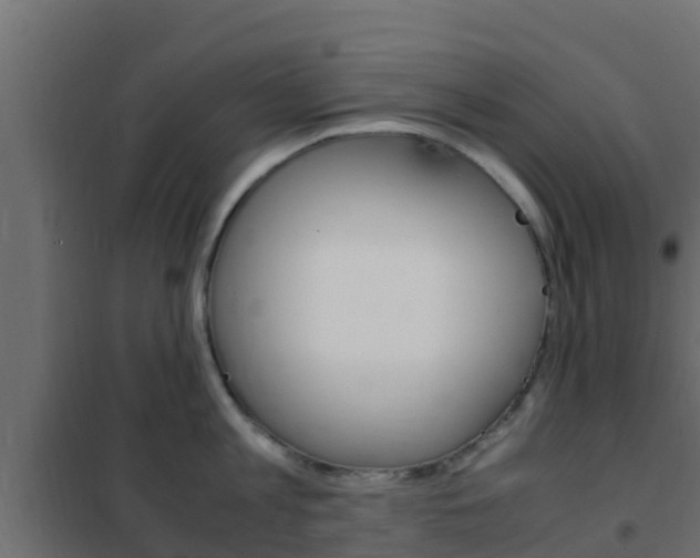 X0000102470813200808081008