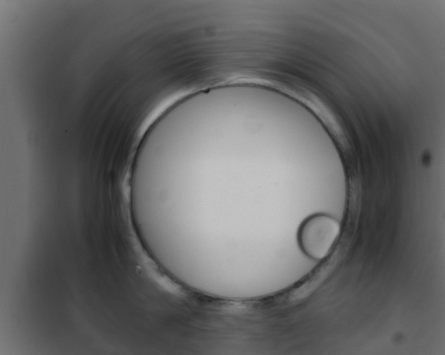 X0000102470814200808081008