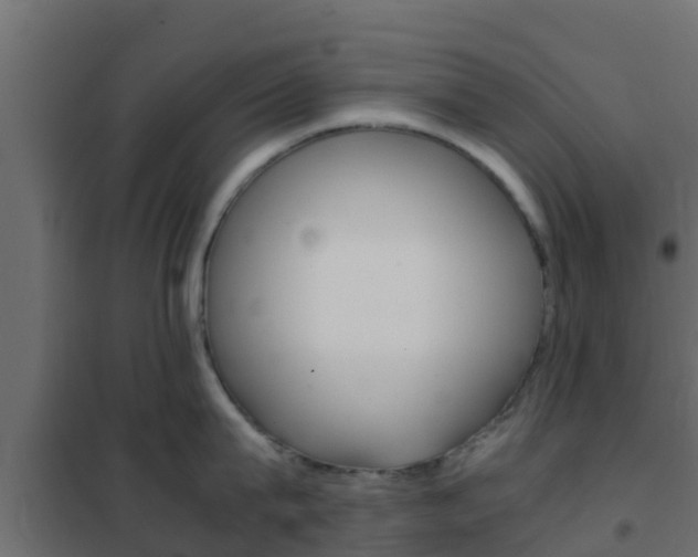 X0000102470815200808081008