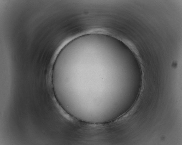X0000102470816200808081008