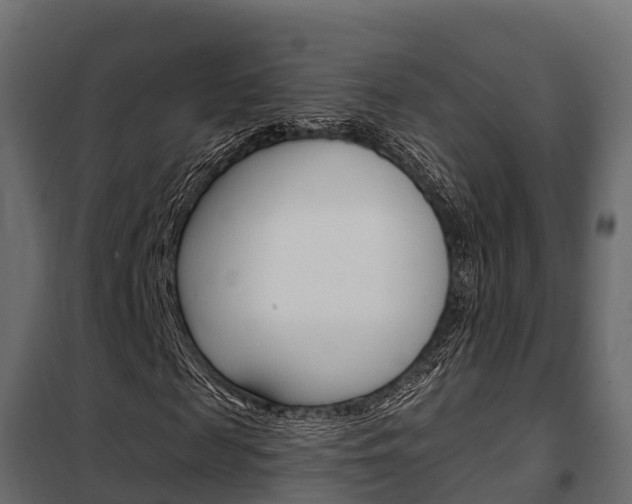 X0000102470817200808081007