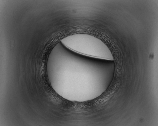 X0000102470818200808081007