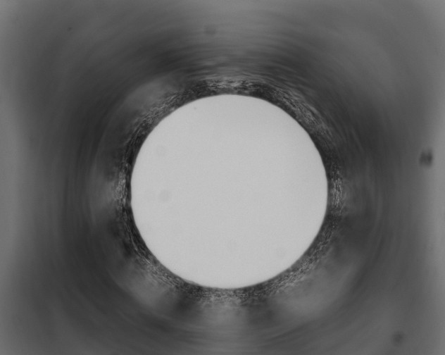 X0000102470820200808081007