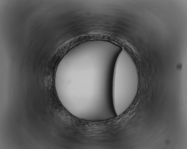 X0000102470821200808081007
