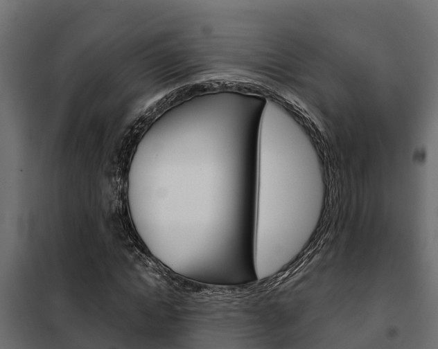 X0000102470822200808081007