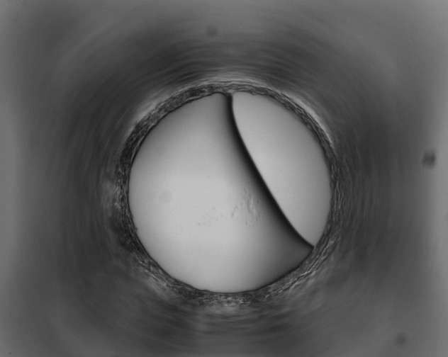 X0000102470823200808081007