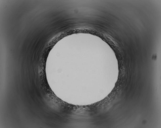 X0000102470824200808081007