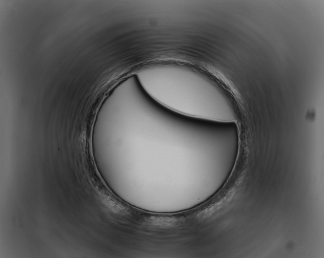 X0000102470825200808081007