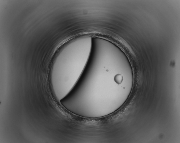 X0000102470826200808081007