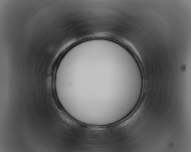 X0000102470827200808081007