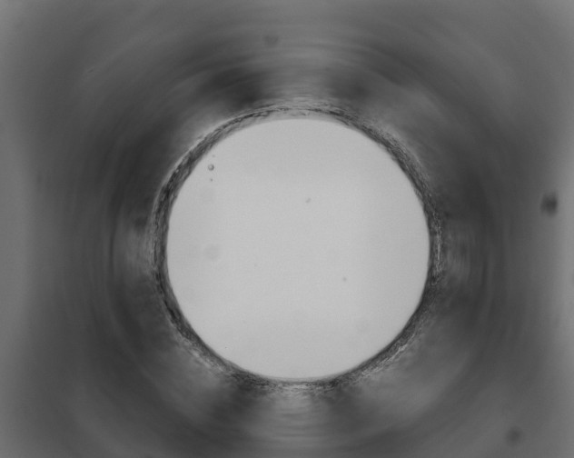 X0000102470828200808081007