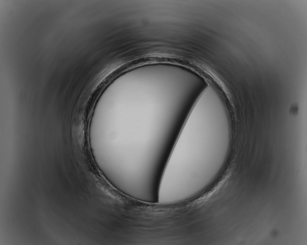 X0000102470829200808081007