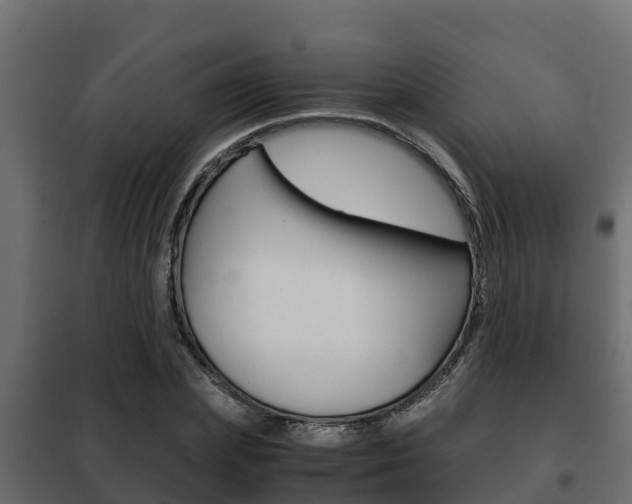 X0000102470831200808081007