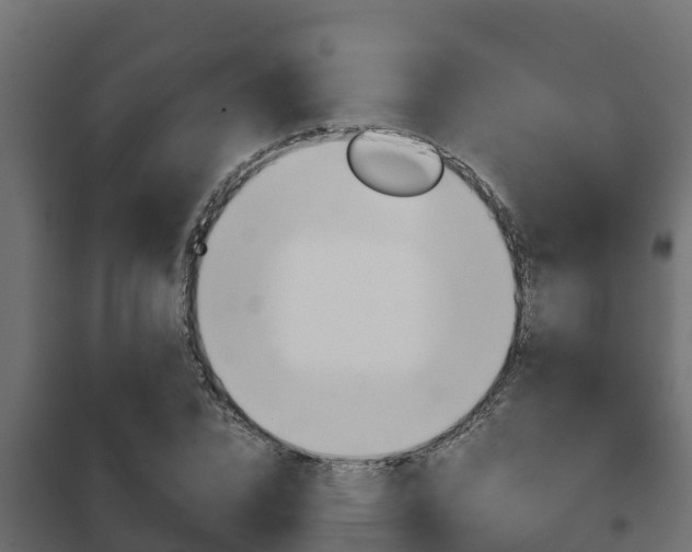 X0000102470832200808081007
