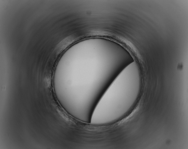 X0000102470833200808081007